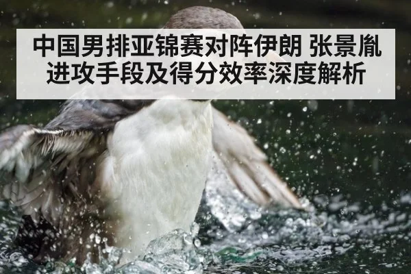 中国男排亚锦赛对阵伊朗 张景胤进攻手段及得分效率深度解析